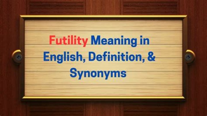 Was does futility mean?