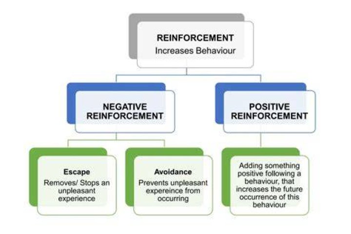 What does reinforcements mean?