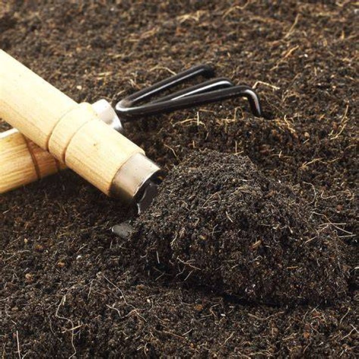 Will grass grow in loam?